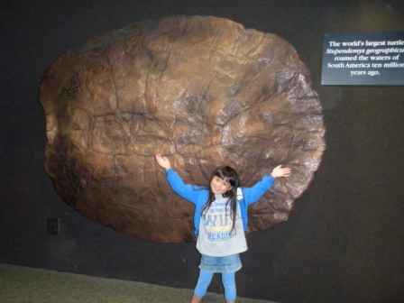 Kasen with a huge turtle shell